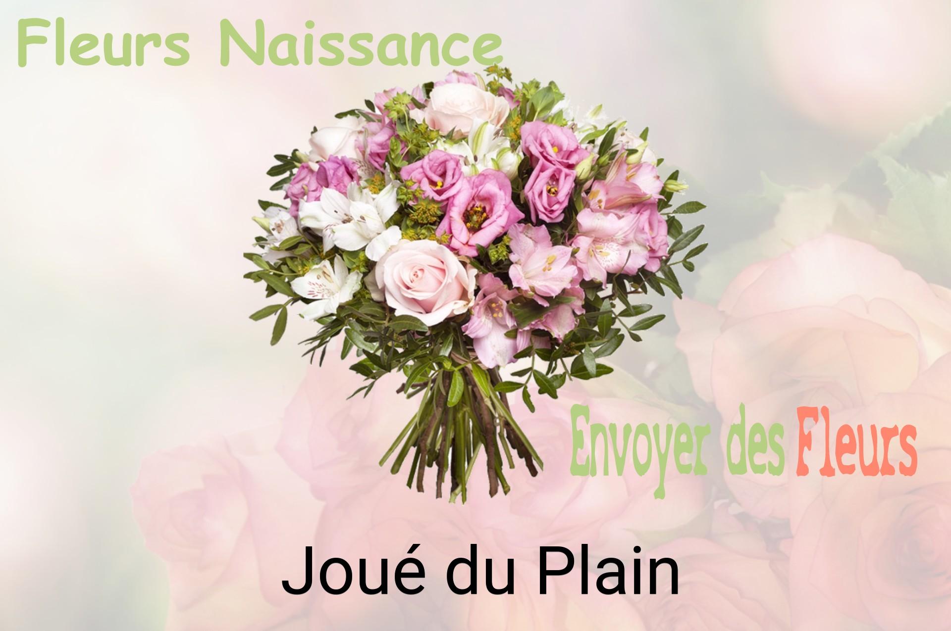Bouquet de fleurs de naissance livré à Joué-du-Plain