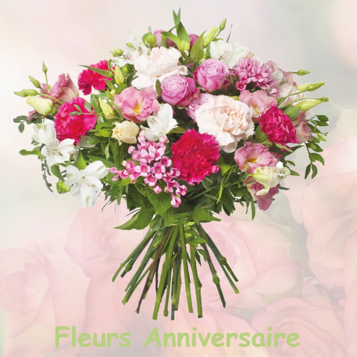 fleurs anniversaire JOUE-DU-PLAIN