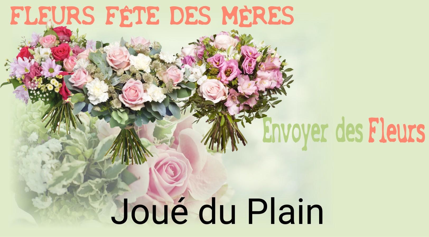 Bouquet de Fête des Mères livré à Joué-du-Plain
